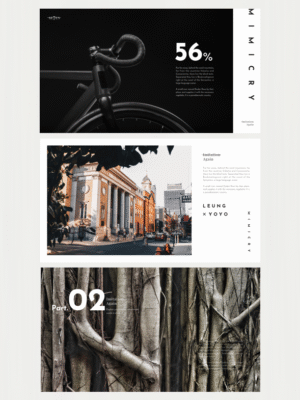 012  Resume tPortfolio,presentation, year-end report template, graduation project template