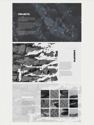 005  Portfolio,presentation, year-end report template, graduation project template